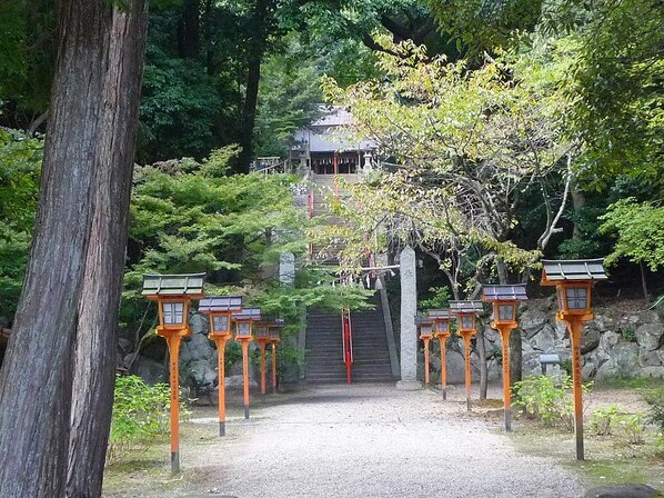 サンパレス21中筋山手の物件内観写真